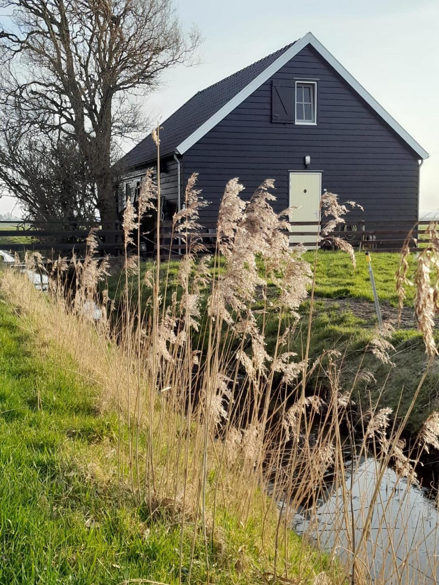 City Farmers Lodge, A Guesthouse With A Skyline View In Rural Amsterdam Exterior photo